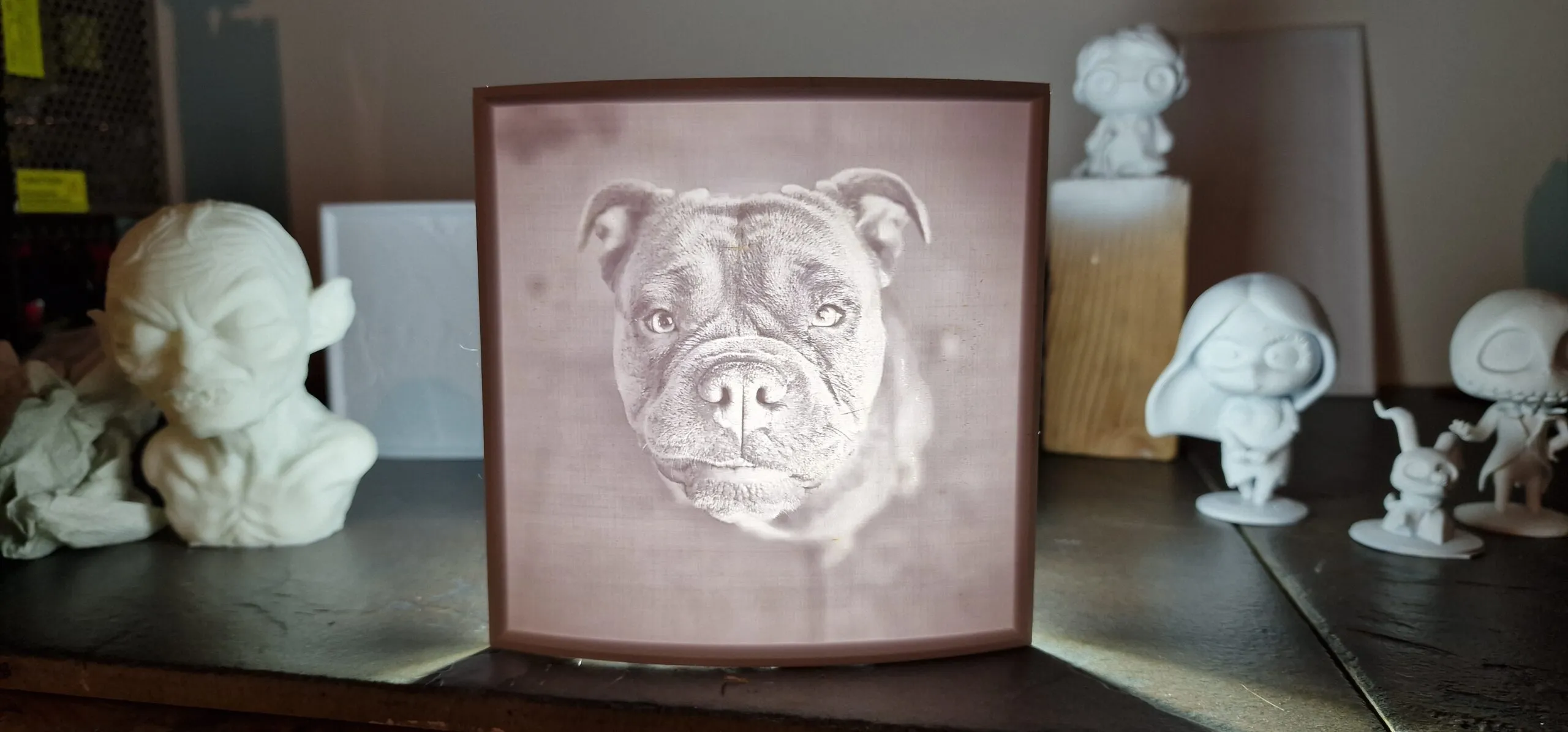 Bulldogge im Rahmen, beleuchtet
