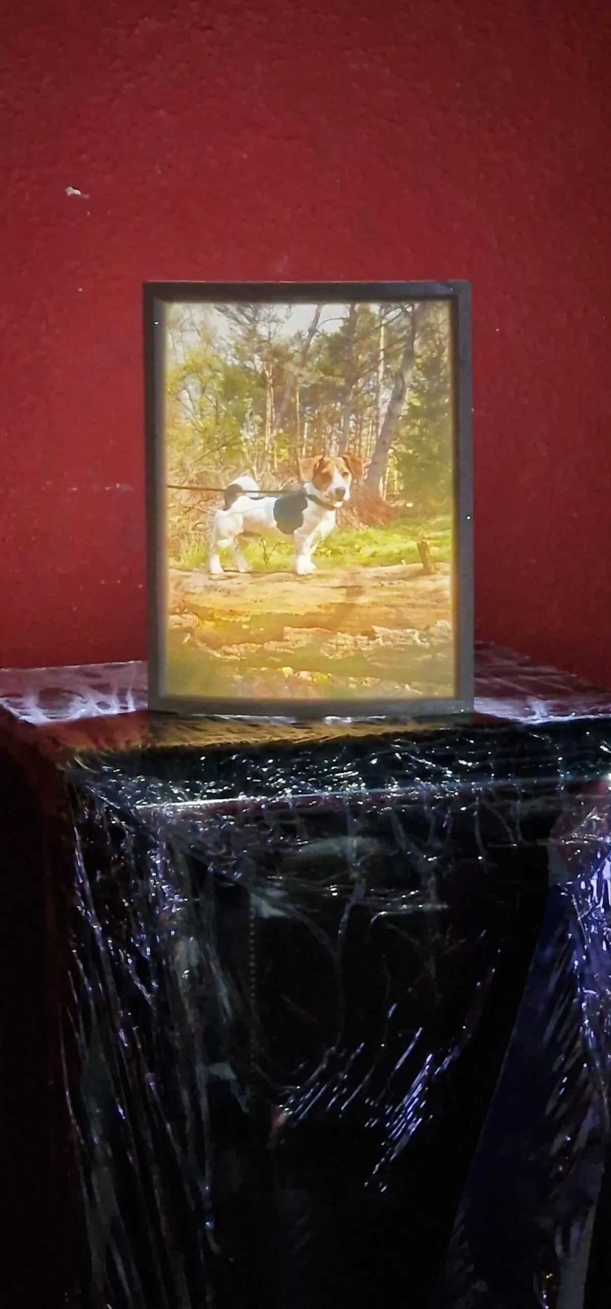 Lithophane im Rahmen
